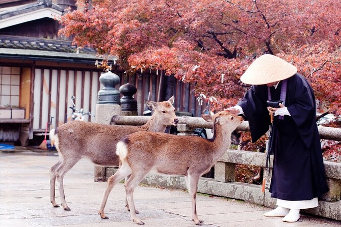 3 Days Private Osaka Kyoto and Nara Tour With English Driver - What three private days really give you