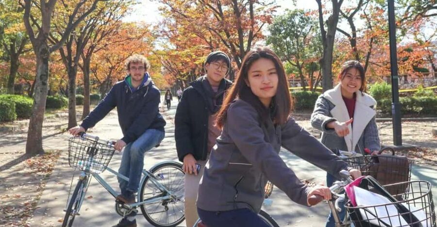 5-Hour Osaka Highlights Bike Tour with Lunch - What the $85 price really buys you