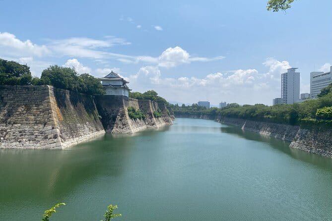 Allure of Osaka Walking Day Tour with a local guide - What the small group changes