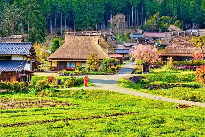 Amanohashidate & Ine Funaya Kyoto coast day trip from Osaka/Kyoto - Who will enjoy this coastal day trip