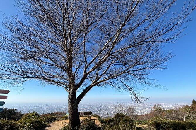 Amanohashidate Ine Funaya Miyama Village No Sato Tour from Osaka - Who will get the most from this tour