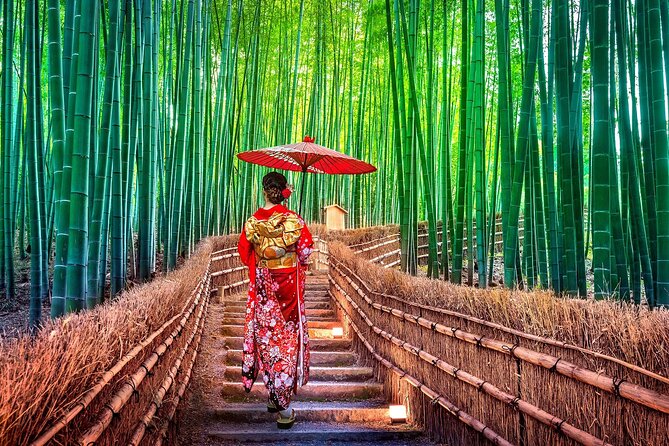 Ancient Capital Tour: Kyoto and Nara Highlights from Kyoto/Osaka - Kinkaku-ji is beautiful, but the visit is brief