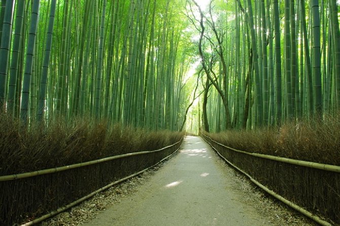 Ancient Capital Tour: Kyoto and Nara Highlights from Kyoto/Osaka - Bus convenience saves time, not energy