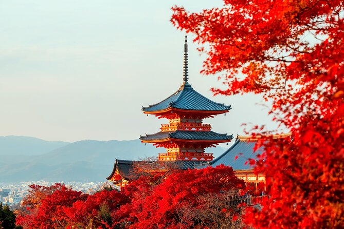 Best of Kyoto and Nara Highlights Day Tour from Osaka (7~9 spots) - Timing, meals, fees, and walking