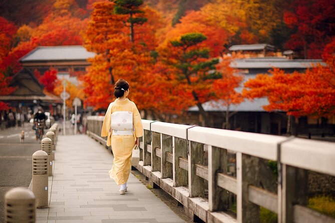 Best of Kyoto and Nara Highlights Day Tour from Osaka (7~9 spots) - Who should book this day tour