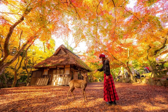 Best of Kyoto and Nara Highlights Day Tour from Osaka (7~9 spots) - Pick Uji and Fushimi Inari for tea and torii gates