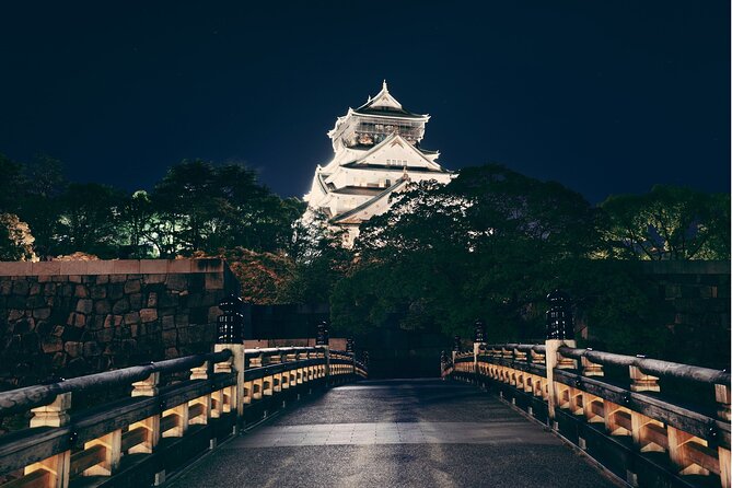 Best Private Osaka Walking Tour With A Guide 100% Personalised - A private way to get your bearings in Osaka
