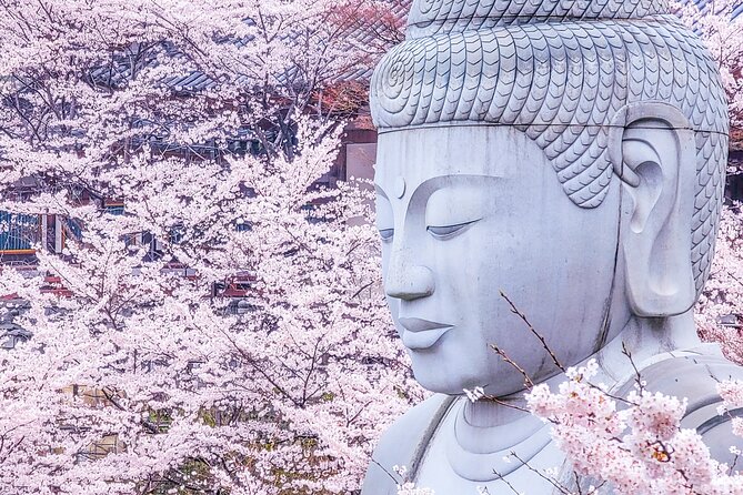 Cherry Blossom Buddha and Mt.Yoshino with Strawberry Picking Tour - Key points to know before you book