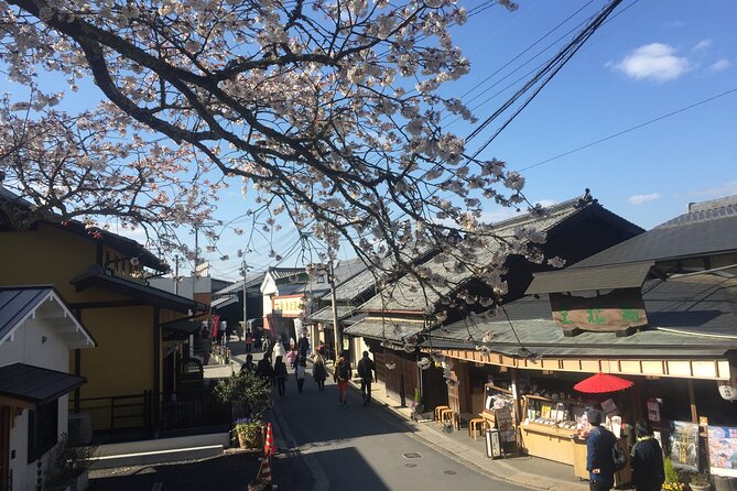 Cherry Blossom Buddha and Mt.Yoshino with Strawberry Picking Tour - The bus ride, guide, and group size