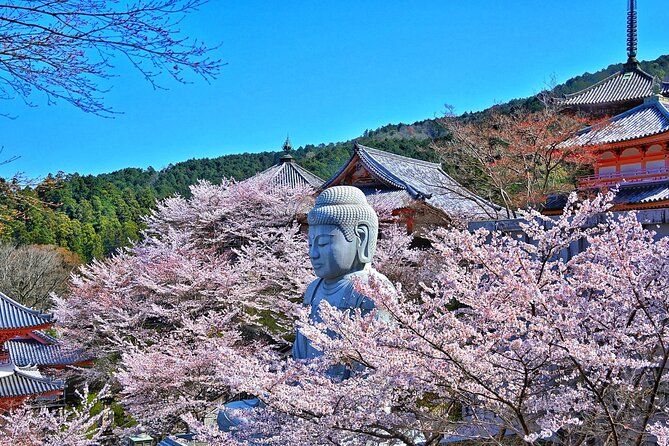 Cherry Blossom Buddha and Mt.Yoshino with Strawberry Picking Tour - Tsubosaka-dera and the Great Cherry Blossom Buddha