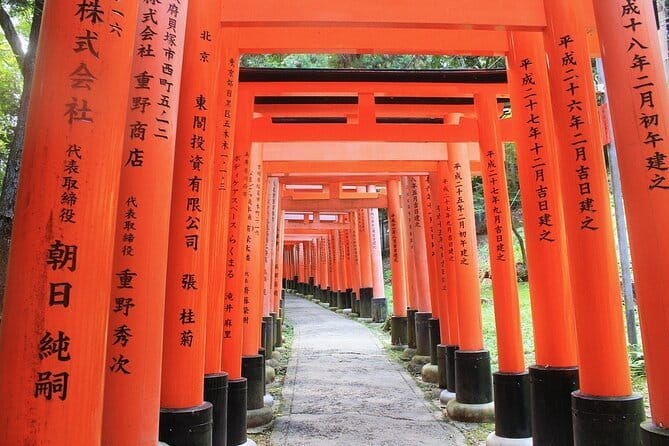 Discover Himeji, Kobe and Nara from Osaka - Nara Park and the famous deer