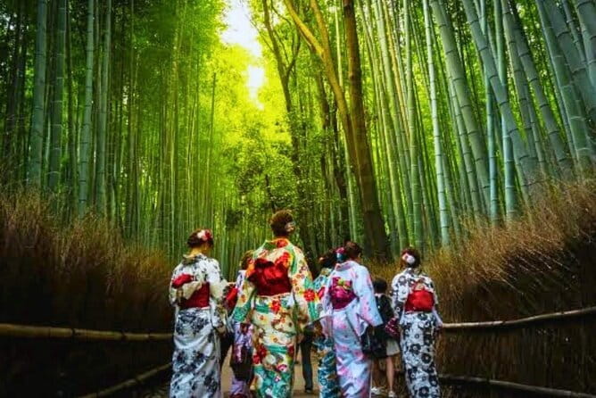 Discover Himeji, Kobe and Nara from Osaka - What the long day feels like