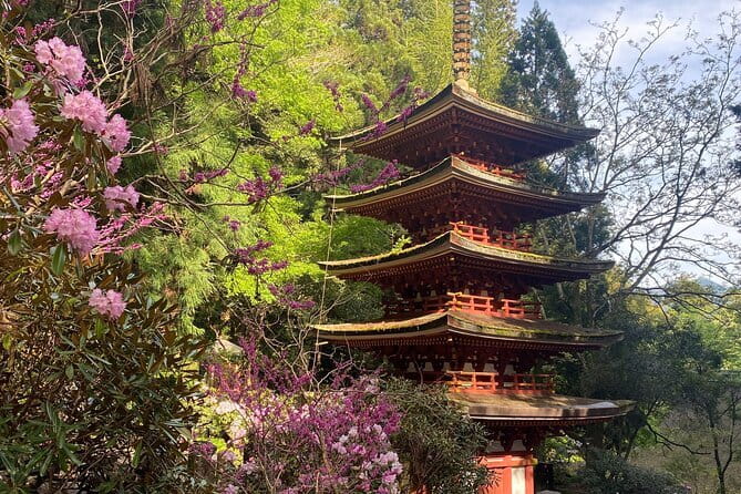 Exclusive Luxury Day Tours Serene Nara - Nara National Museum and Isuien Garden