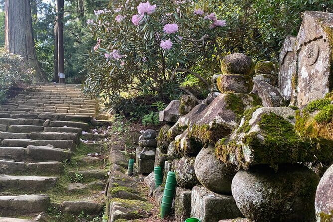 Exclusive Luxury Day Tours Serene Nara - Kofukuji and the smaller temple choices
