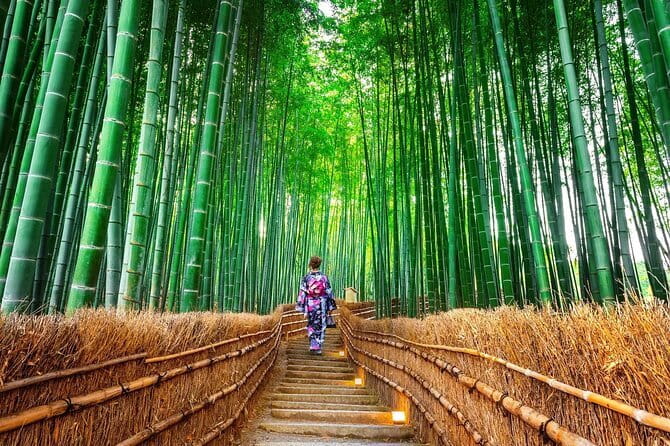 Exclusive Luxury Day Tours Serene Nara - How the $425 price holds up
