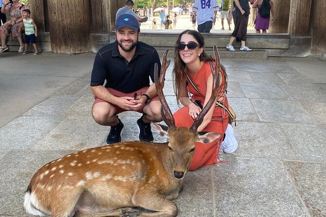 Exclusive Luxury Day Tours Serene Nara - Kasuga Taisha and the forested shrine approach