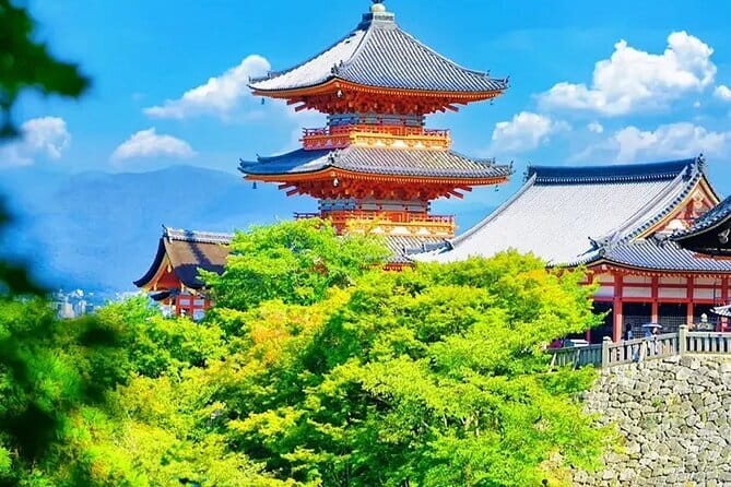 Explore Osaka | Private Tour - Local English Driver(guide option) - What the driver does, and what the driver does not do