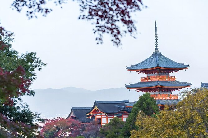From Osaka: 10-hour Private Customizable Tour to Kyoto - Flexibility is the tour’s strongest practical feature