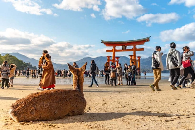 From Osaka: Hiroshima and Miyajima Day Trip by Bullet Train - The Shinkansen from Shin-Osaka to Hiroshima