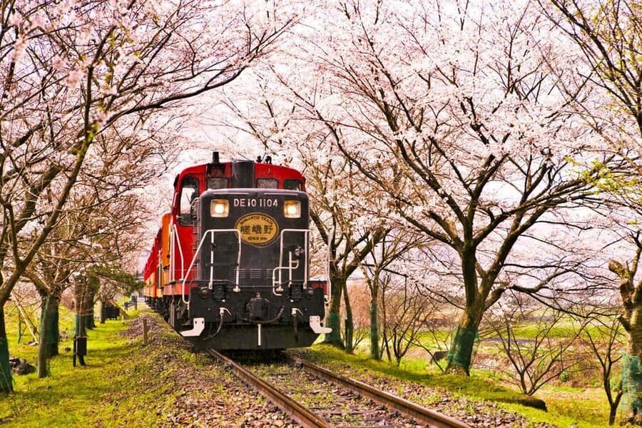 From Osaka: Kyoto, Nara, Fushimi Inari & Arashiyama Day Tour - Three major sights without changing trains