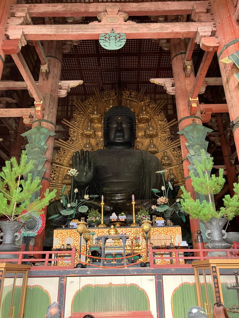 From Osaka: Nara Private Tour with Meet-Up at Your Hotel - Key points to know before booking