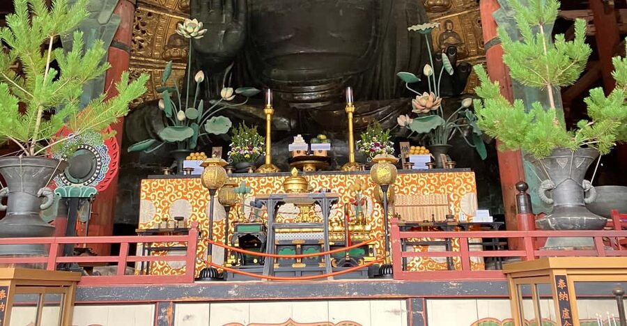 From Osaka: Nara Private Tour with Meet-Up at Your Hotel - Meeting Masa and getting from Osaka to Nara