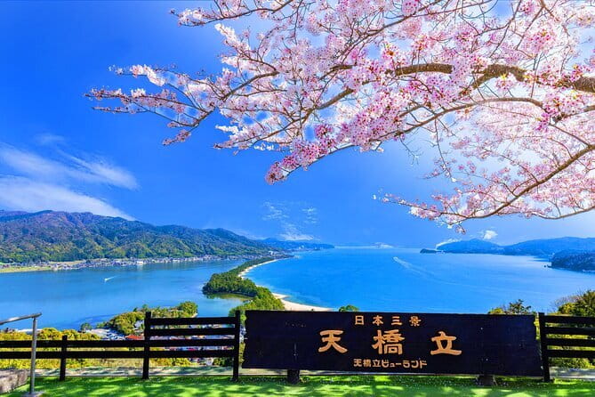 From Osaka or Kyoto: Full Day Sightseeing Tour of Kyoto - Nijo Castle and the world of the shoguns