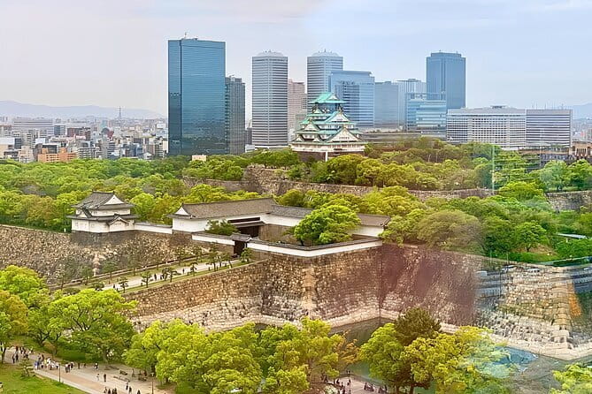 From Osaka or Kyoto: Full Day Sightseeing Tour of Kyoto - How the guide affects the day