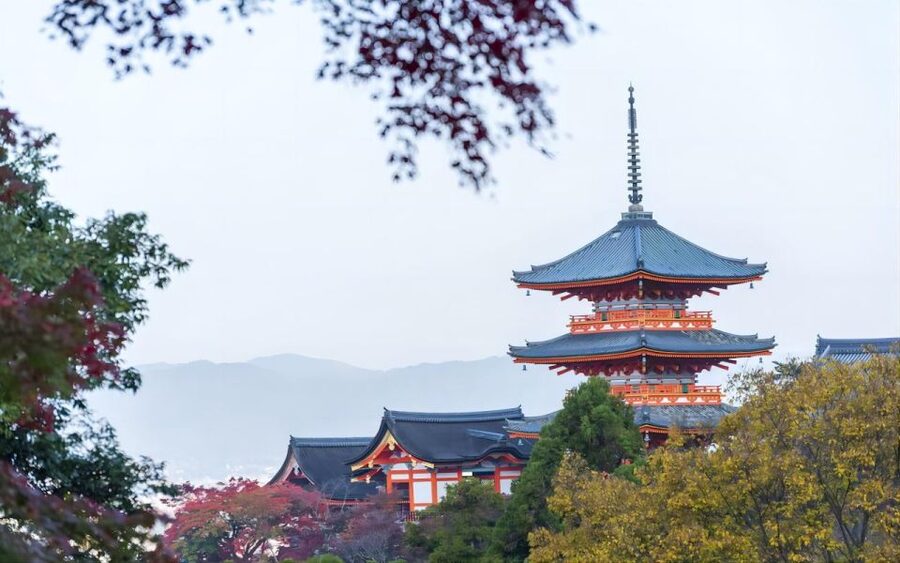 From Osaka: Private Customizable Day Tour to Kyoto - Lunch with room for local choice