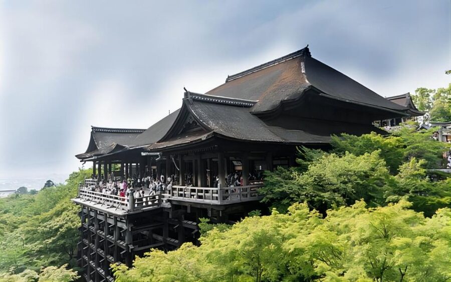 From Osaka: Private Customizable Day Tour to Kyoto - The driver can make or break the day