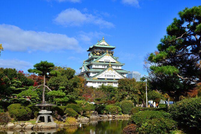 Full Day Guided Tour in Osaka by Van - Key points to know before booking