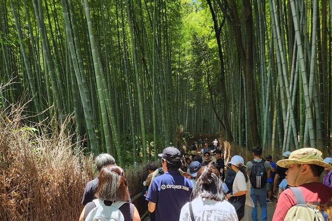 Full Day Guided Tour to Kyoto Arashiyama from Osaka by Van - Ninna-ji offers a quieter change of mood