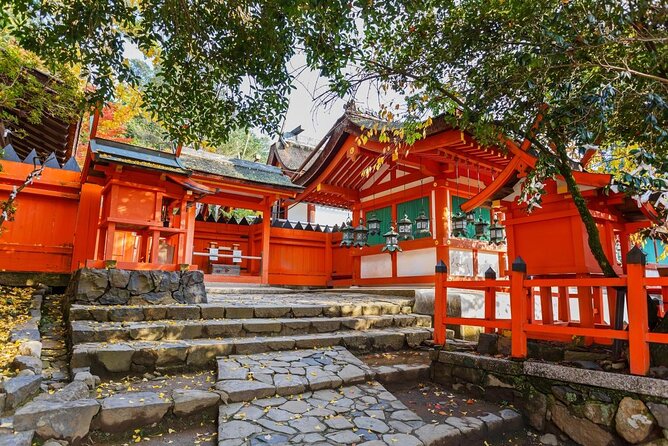 Full Day Guided Tour to Nara from Osaka by Van - Key points at a glance