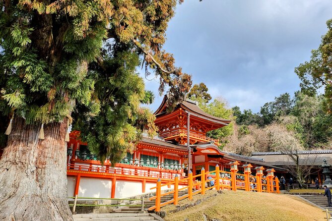 Full Day Guided Tour to Nara from Osaka by Van - Why this Nara day trip works from Osaka