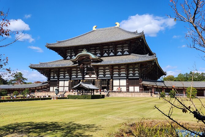 Full Day Guided Tour to Nara from Osaka by Van - Getting your first look at Nara Park