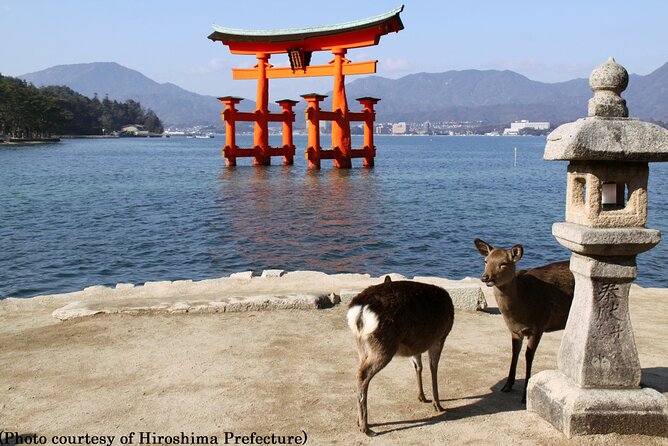 Full Day Hiroshima and Miyajima Tour by Bullet Train from Osaka - A long return to Osaka