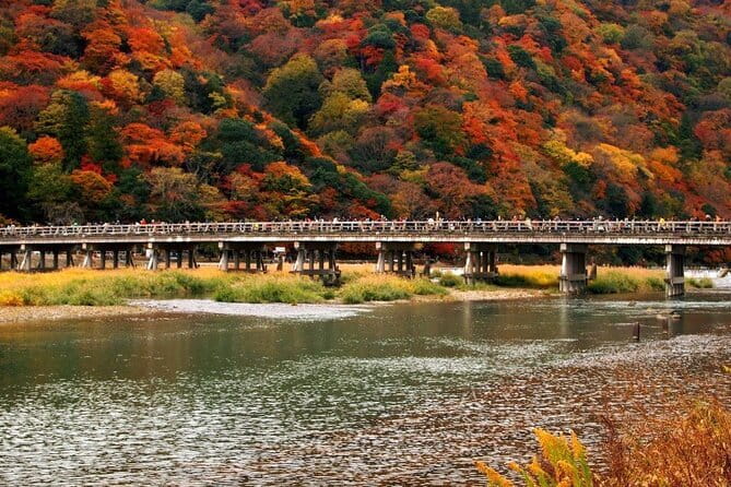 Full Day Tour of Kyoto with Private Transportation - Is $247.92 per person good value?