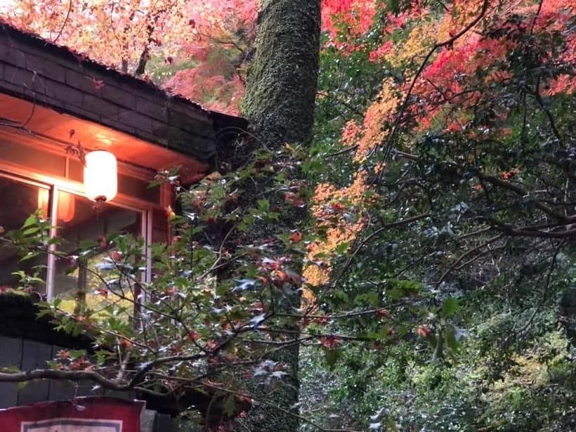 Get to know Minoo from Osaka. Katsuoji Temple, Ryuanji Waterfall and Ryuanji Temple - Practical details for a smooth day