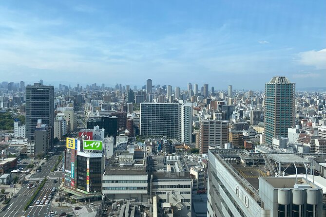 Guided Tour of Some Attractions in Osaka by Private Car - Why a private car works well in Osaka