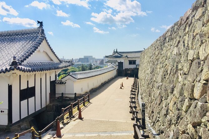Half-Day Private Guided Tour of Himeji Castle - What the private guide adds