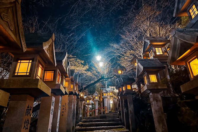 Hidden Gems of Osaka Kyoto Nara - Private Car Tour by Local Guide - Mount Shigi after dark