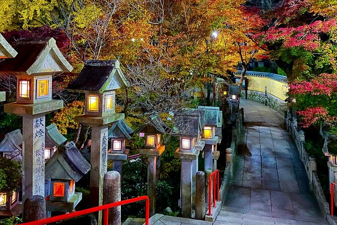 Hidden Gems of Osaka Kyoto Nara - Private Car Tour by Local Guide - Who will enjoy this temple and shrine route
