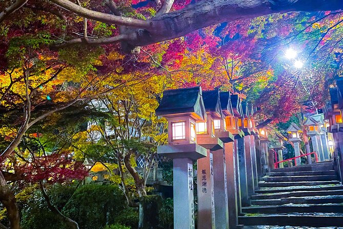 Hidden Gems of Osaka Kyoto Nara - Private Car Tour by Local Guide - Mitsushima Shrine and the sacred camphor tree