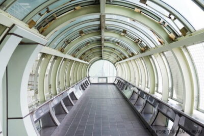 Himeji Castle and Akashi Kaikyo Bridge Walking Tour from Osaka