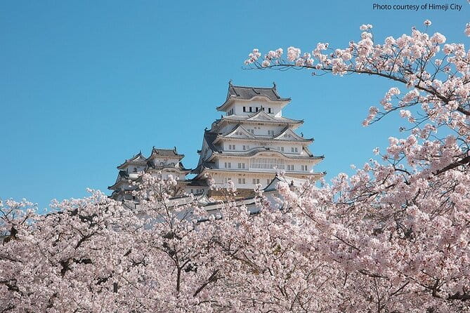 Himeji Castle and Akashi Kaikyo Bridge Walking Tour from Osaka - Timing, comfort, and small practical details