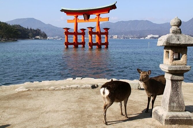 Hiroshima and Miyajima 1 Day Private Tour from Kyoto or Osaka - Miyajima and the sight of the floating torii