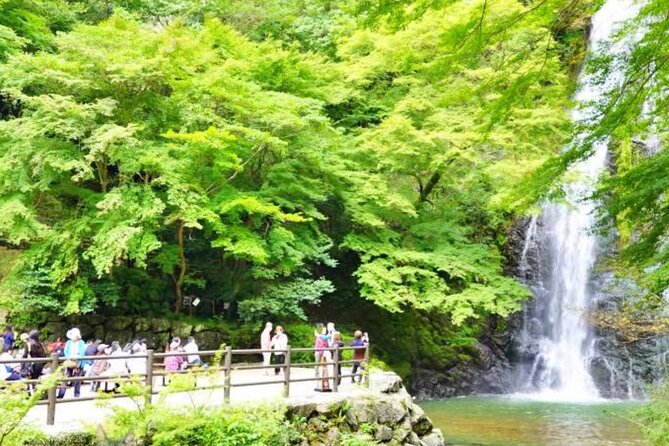 Katsuo-ji Temple, Arashiyama Forest, & Nara Park - A guided tour, or a comfortable shuttle?