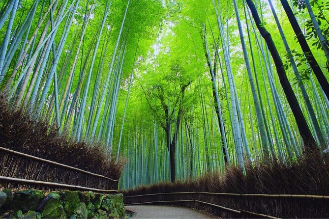 Katsuo-ji Temple, Arashiyama Forest, & Nara Park - Timing, transport, and the price question