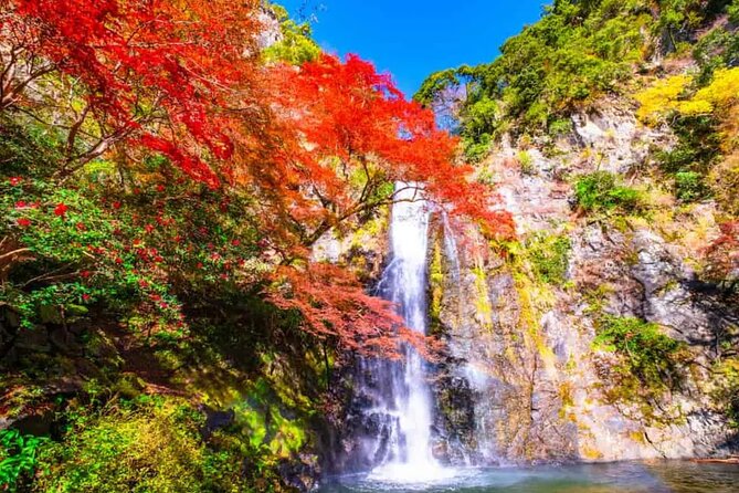 Katsuo-ji Temple, Arashiyama Forest, & Nara Park - Who will enjoy this packed Osaka day?