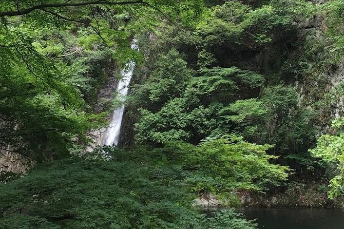 Kobe private tour from Osaka (Shore excursion available from Osaka or Kobe port) - Kitano’s Ijinkan houses and Kobe’s foreign connection